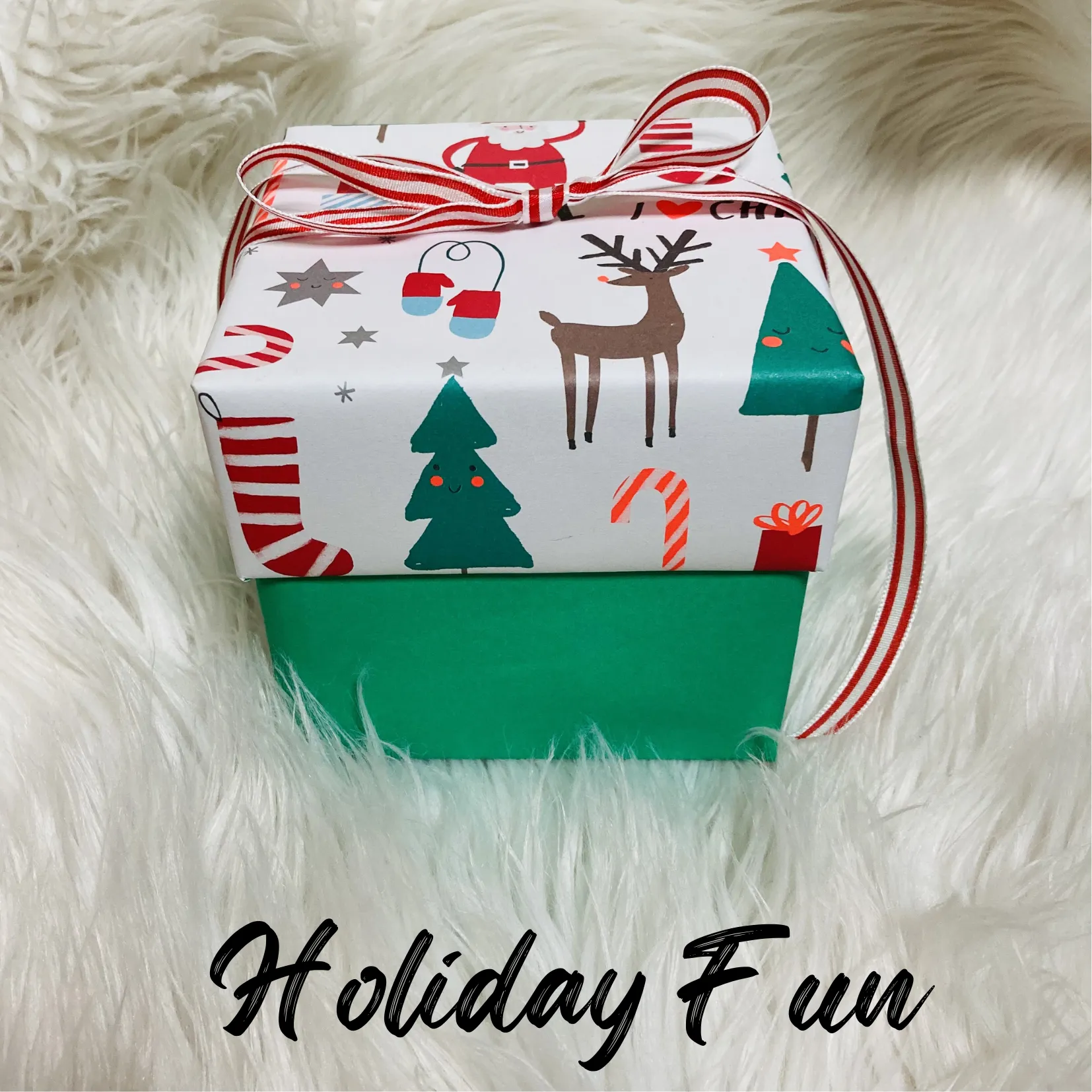 Holiday Fun
