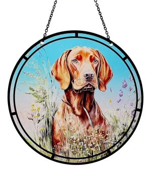 Hungarian Vizsla Acrylic Sun Catcher with Chain #SC303 by d'ears