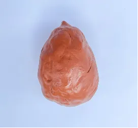 Jamie Martinez, "Avocado"