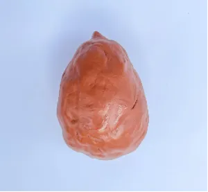 Jamie Martinez, "Avocado"