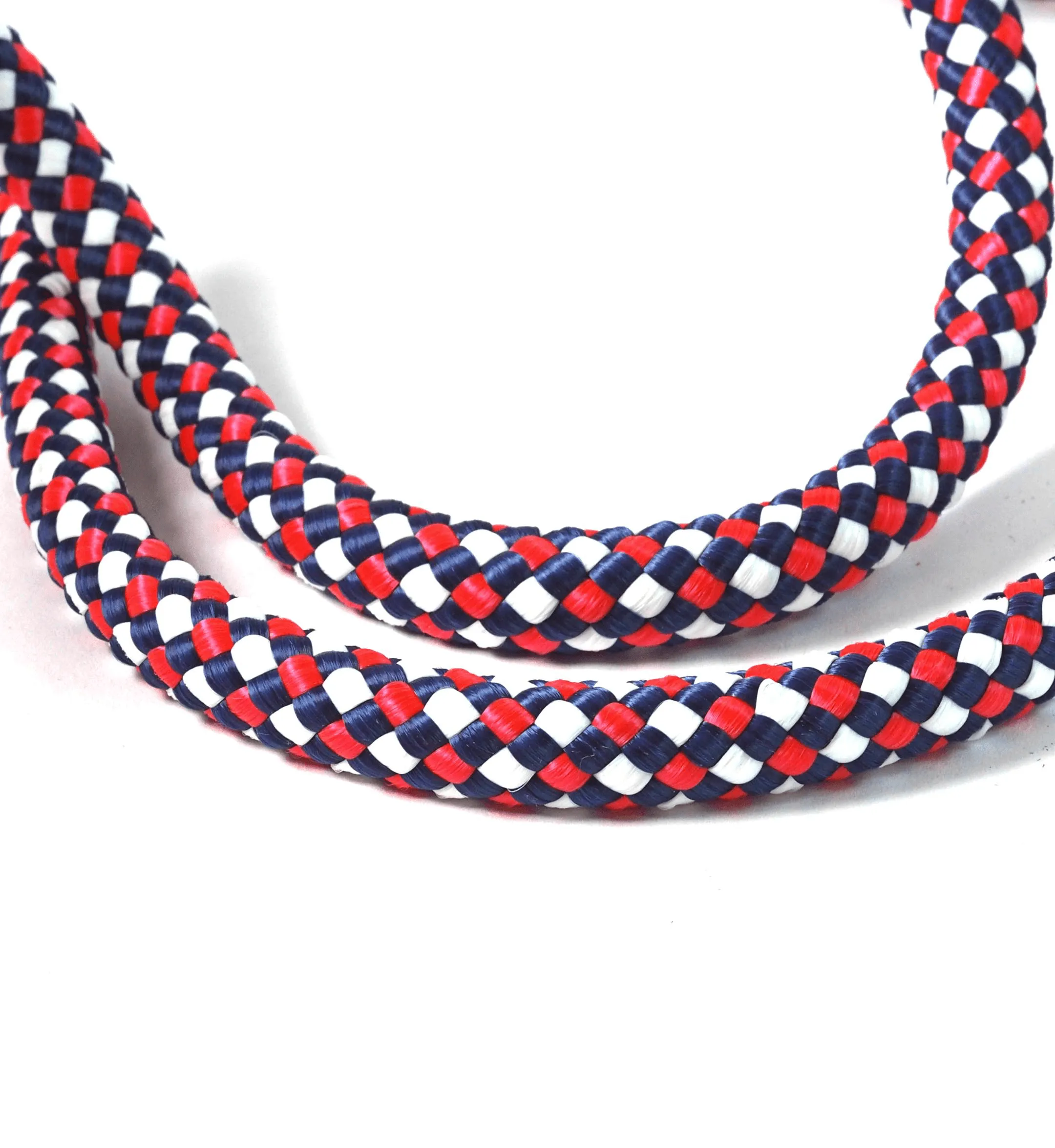 Joker Dog Leash