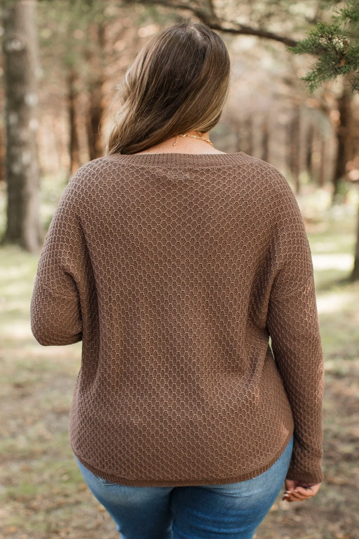 Keep It Colorful Knit Sweater- Brown