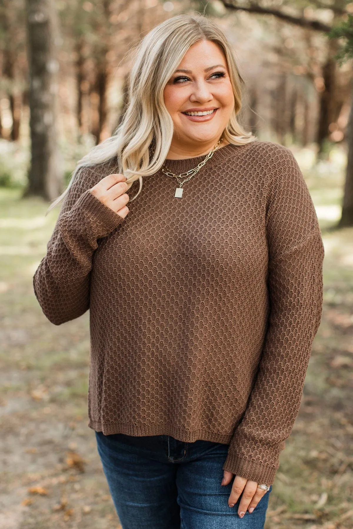 Keep It Colorful Knit Sweater- Brown