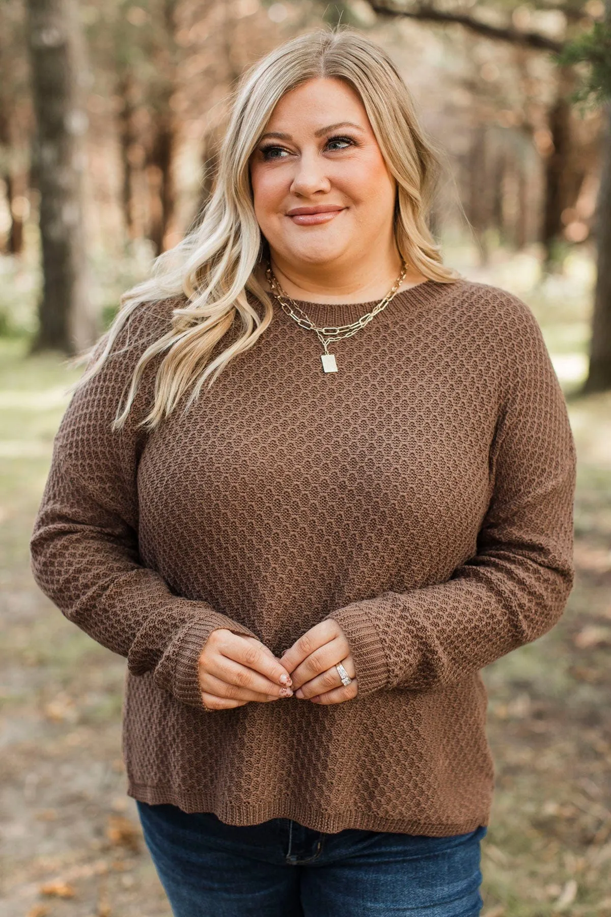 Keep It Colorful Knit Sweater- Brown