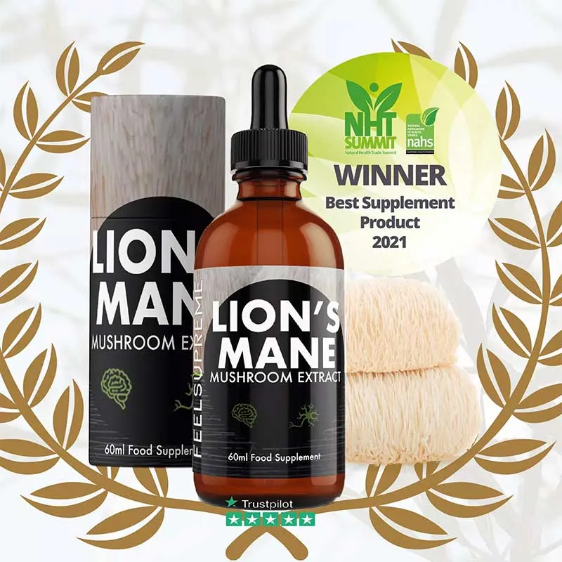 Lion's Mane Mushroom Extract (60 ml)