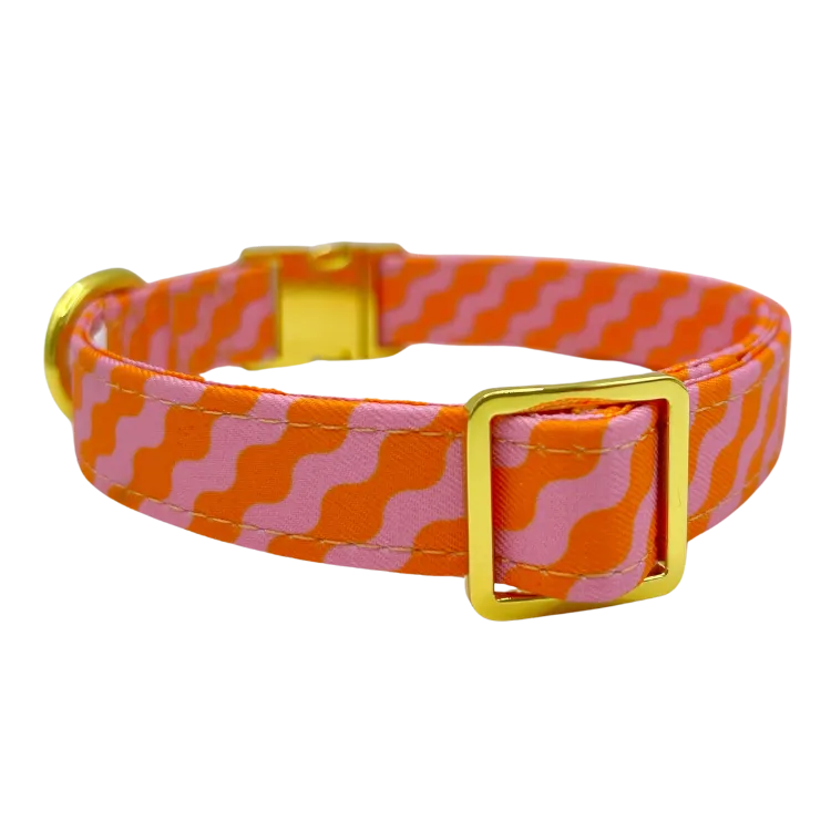 Mango - Dog Collar