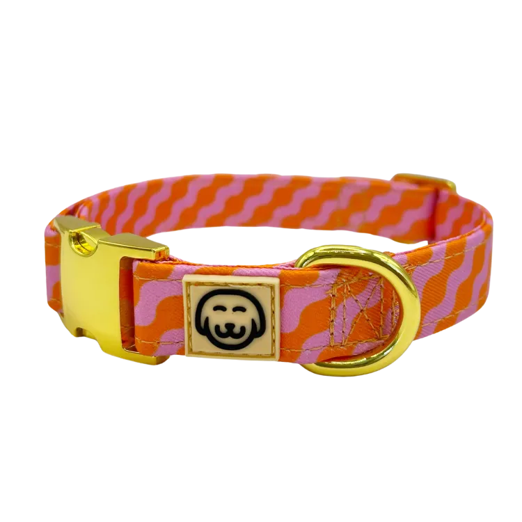 Mango - Dog Collar