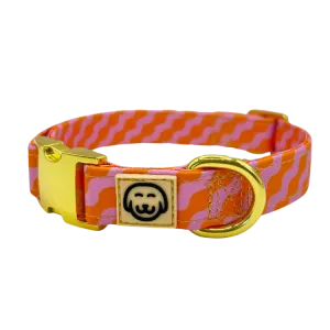 Mango - Dog Collar