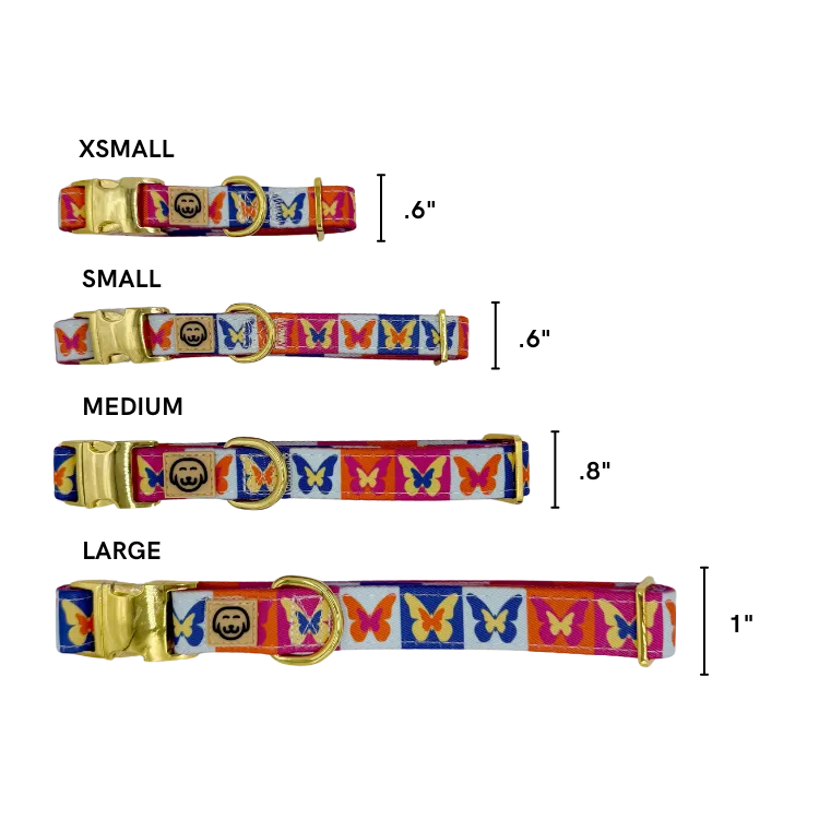 Mariposa - Dog Collar