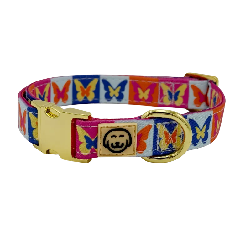 Mariposa - Dog Collar