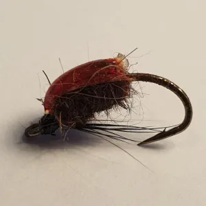 Mick Hall's Brown Water Beetle