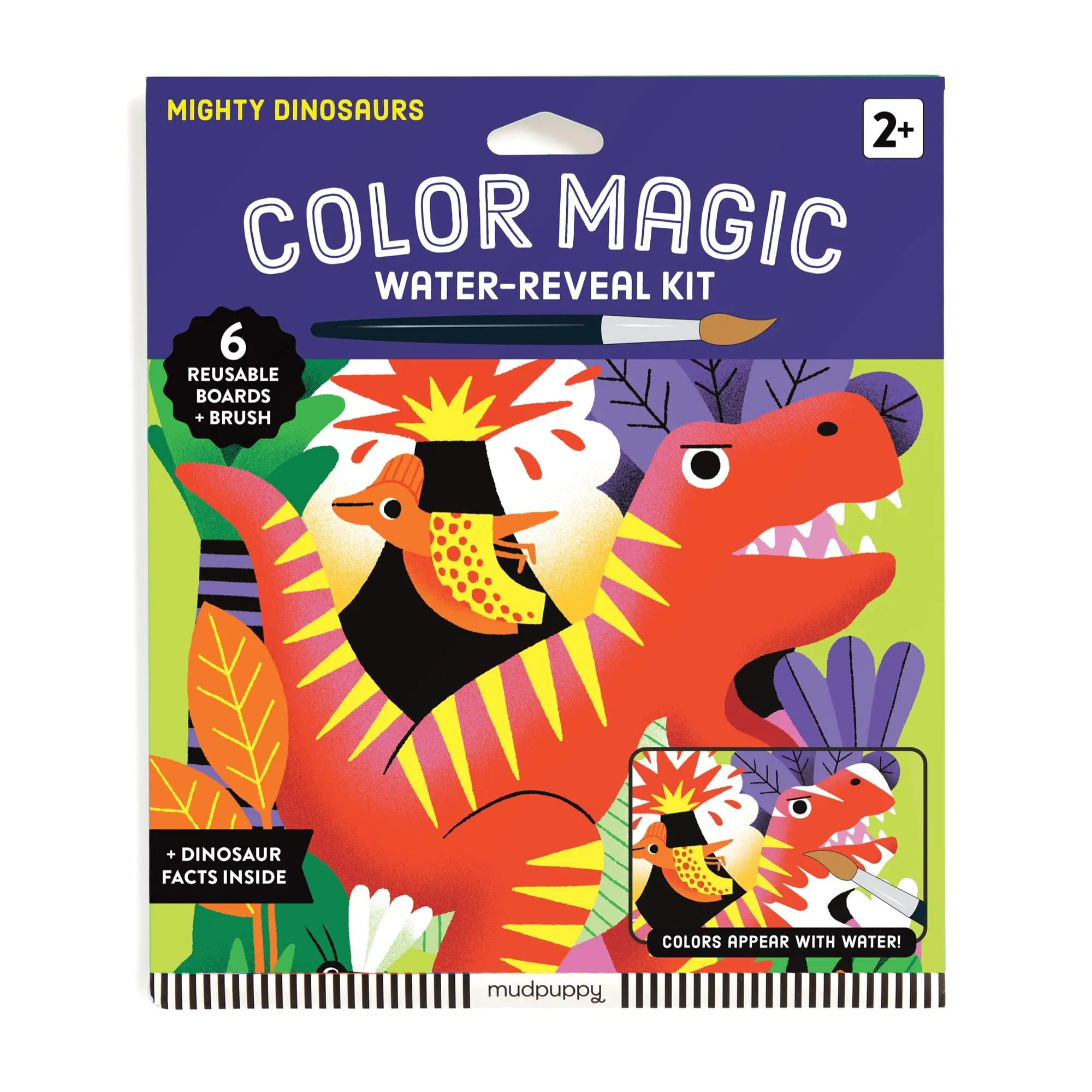 Mighty Dinosaurs Water-Reveal Kit