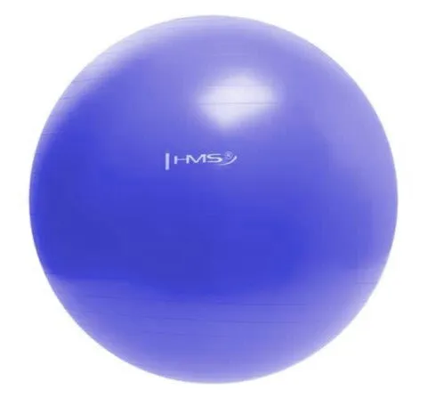 Minge fitness pentru gimnastica HMS YB01 55 cm