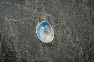 Moonstone
