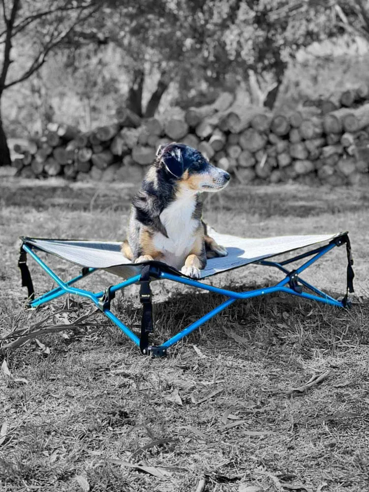 Navigator - Navi Dog Bed