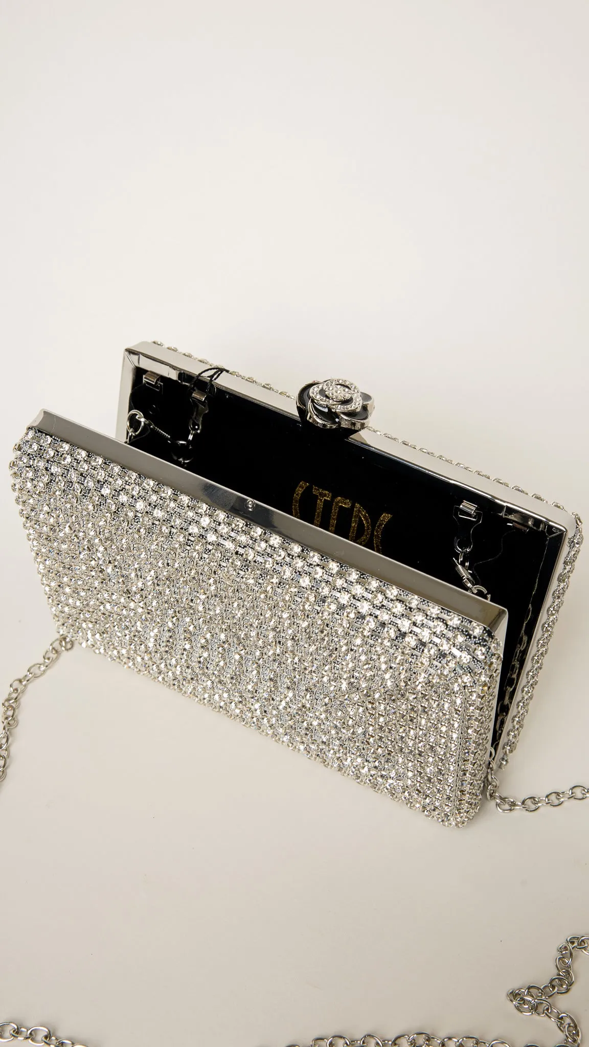 Nika Mini Clutch in Silver