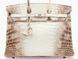 Niloticus Crocodile Himalayan Birkin bag - USD 2.83 Million