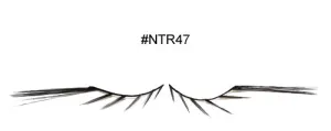 #NTR47 - EYEMIMO False Eyelashes