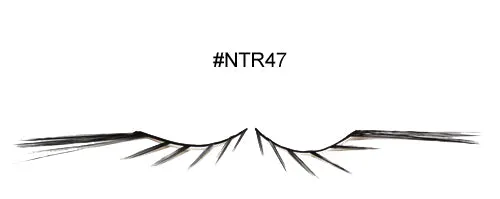 #NTR47 - EYEMIMO False Eyelashes