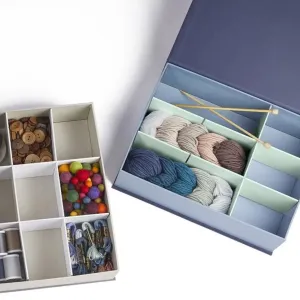 Organizer Bento Box, Blue