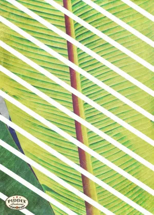 PDXC16198 -- Tropical Breeze