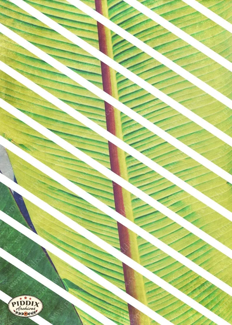 PDXC16198 -- Tropical Breeze