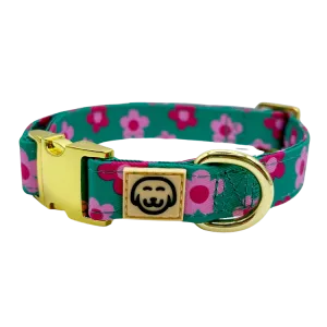 Petunia - Dog Collar