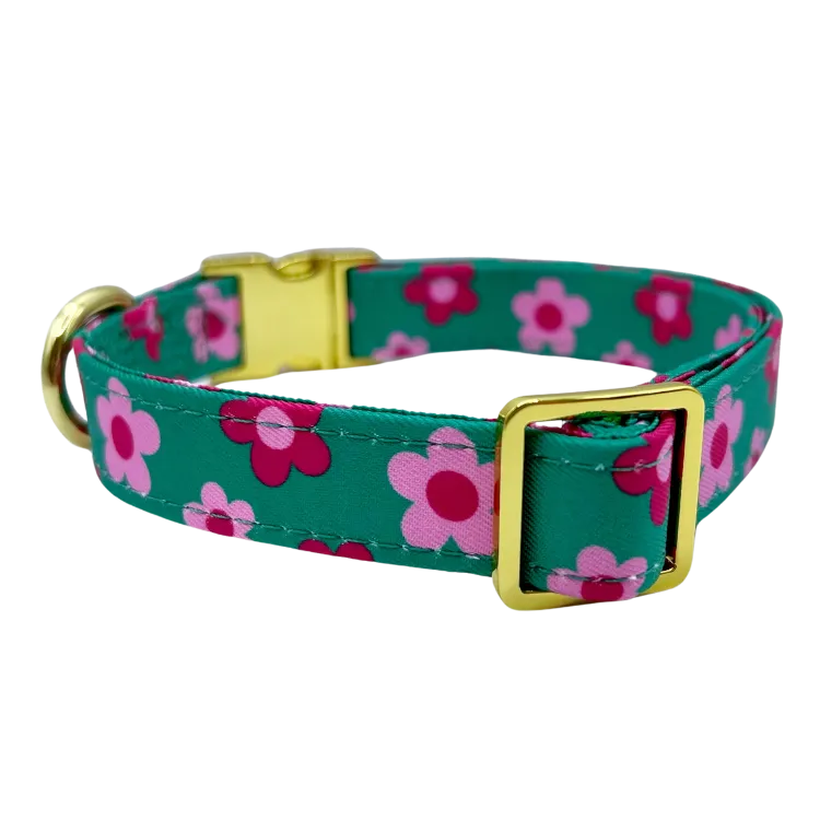 Petunia - Dog Collar