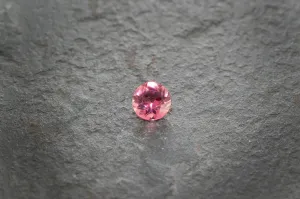 Pink Tourmaline