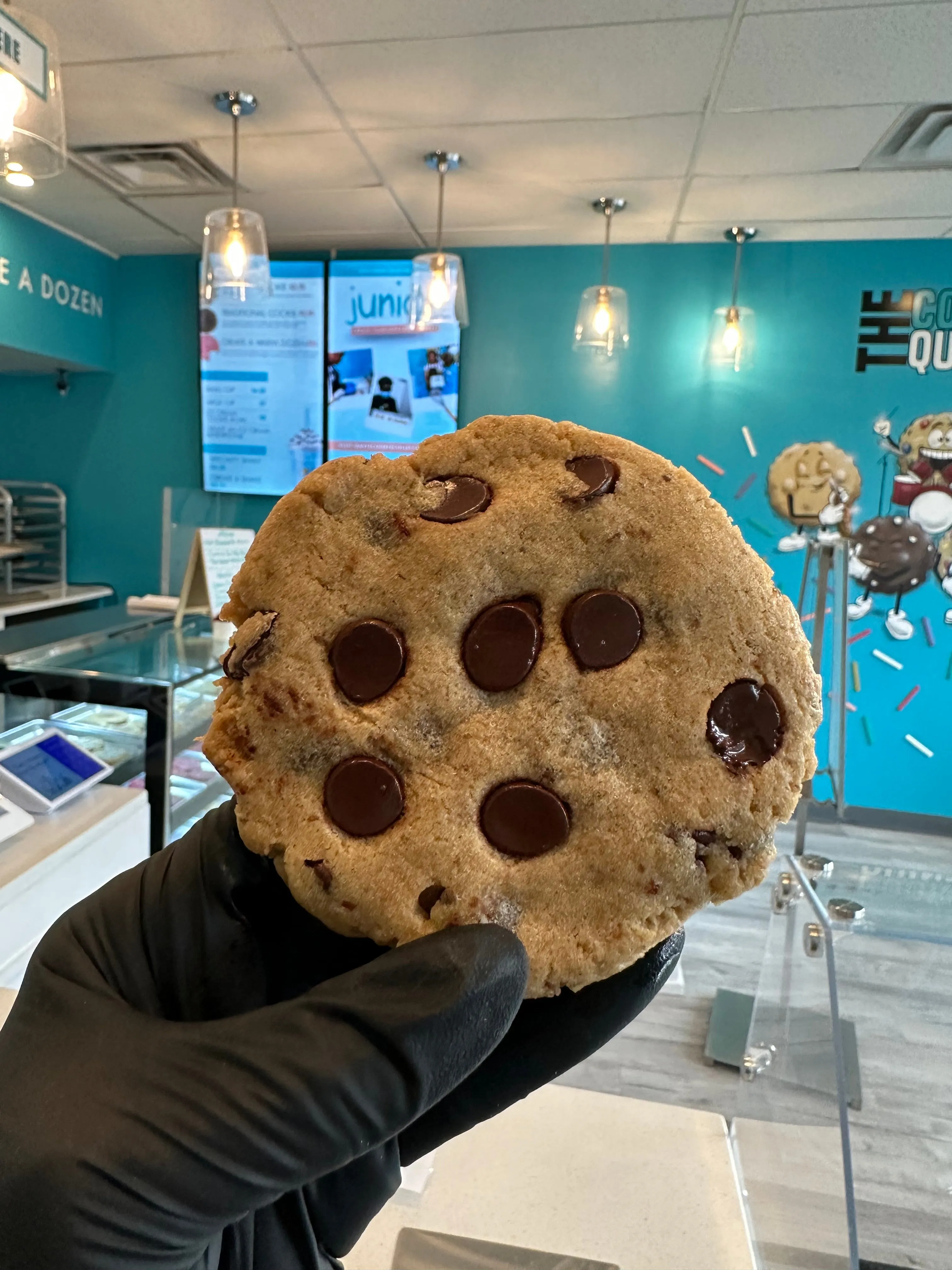 Plant Based Chocolate Chip