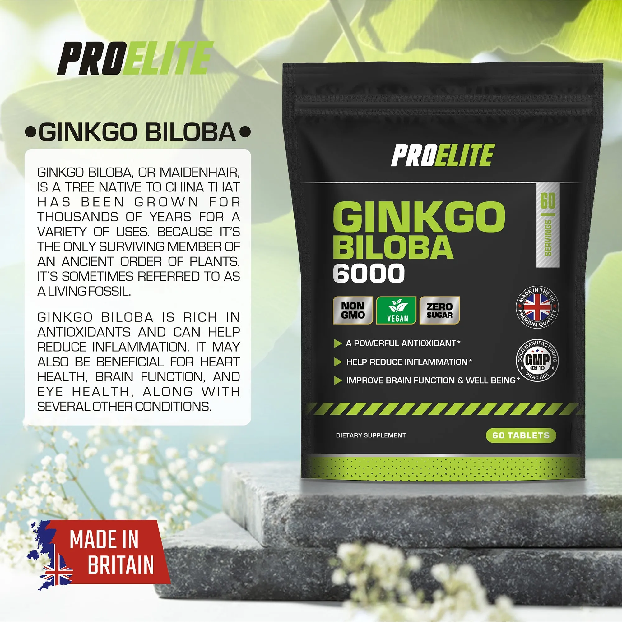 PROELITE Ginkgo Biloba 6000 Vegan Tablets