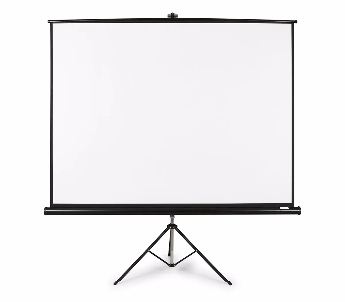 Qian Guding Qpg 69504 Pantalla Proyeccion Manual136 Pulg Blanca Mate