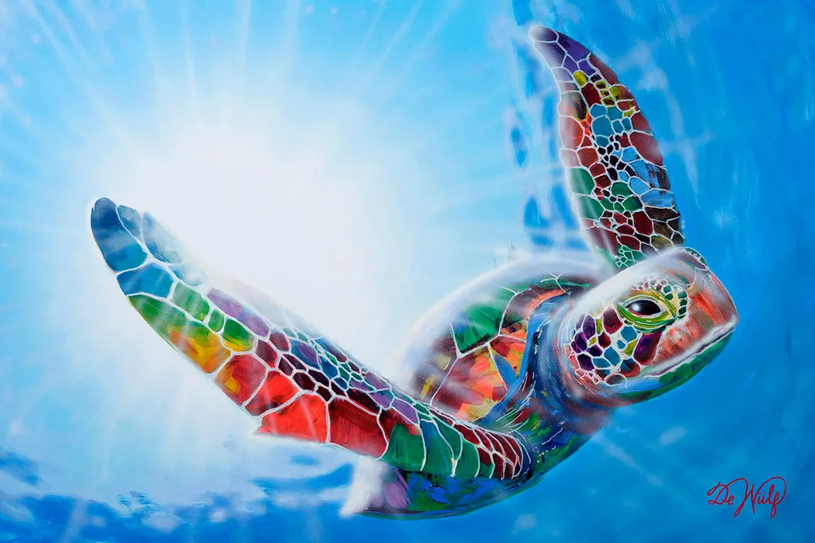 "Colorful Sealife"