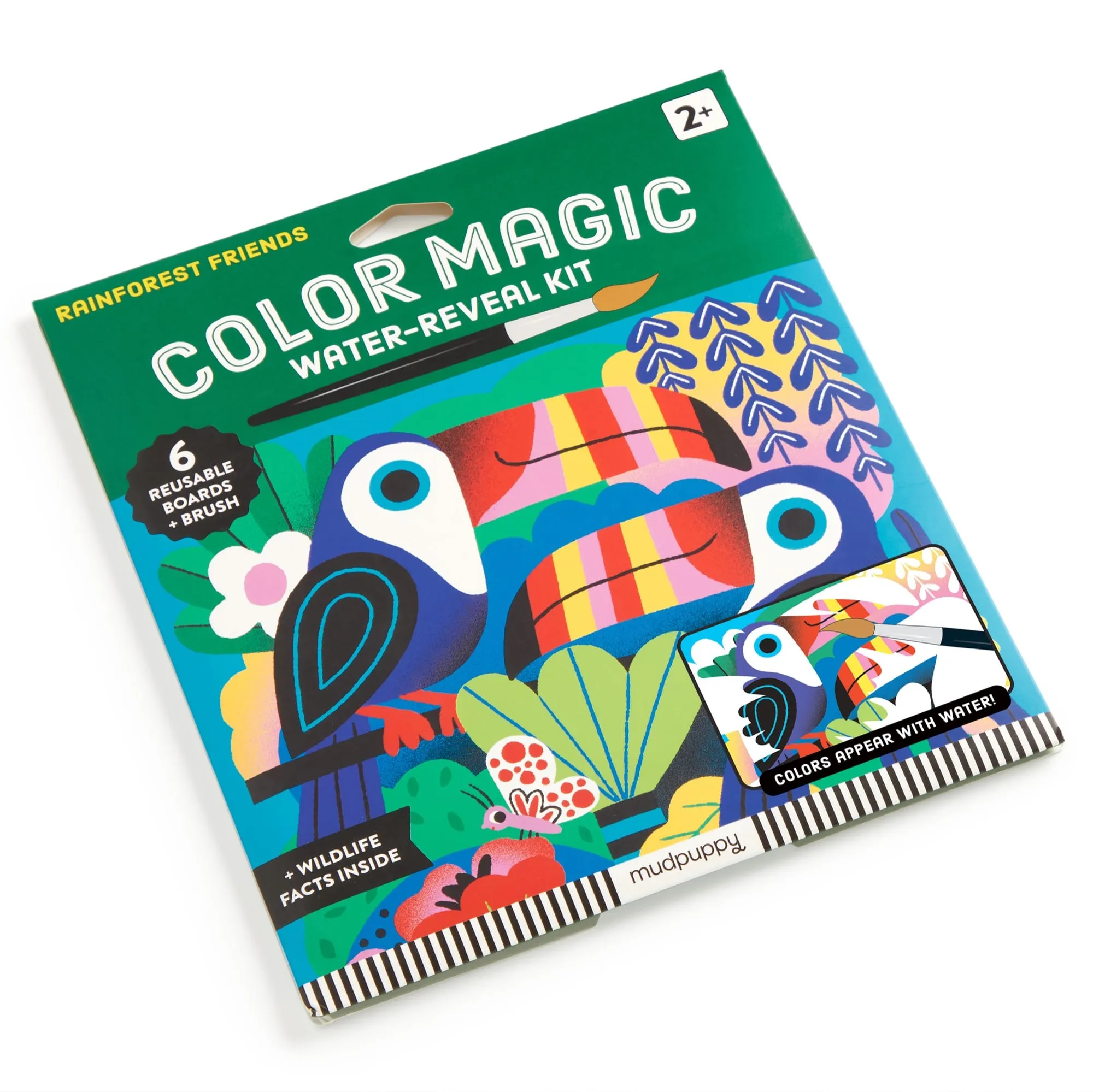 Rainforest Friends Water-Reveal Kit