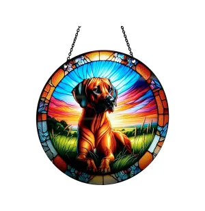 Rhodesian Ridgeback Acrylic Suncatcher with Chain #SC417 by d'ears