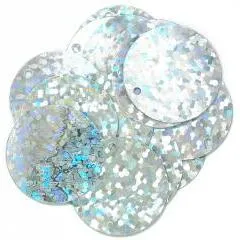 Silver Hologram Sparkles