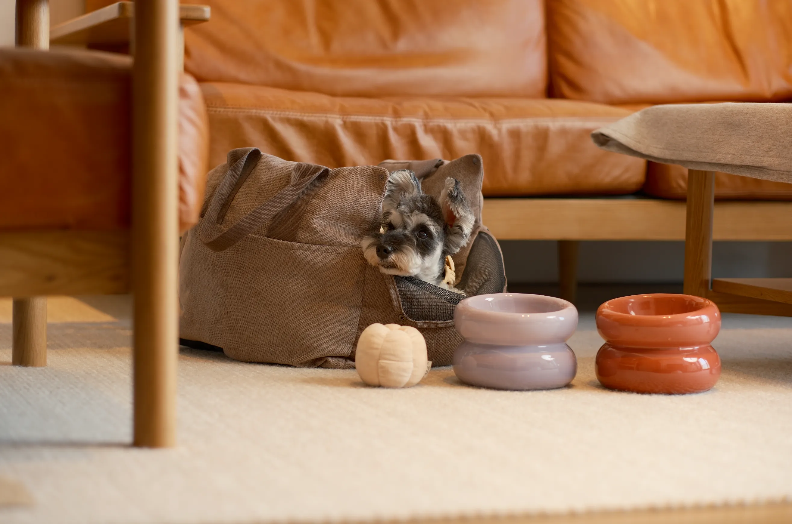 Soufflé Pet Bowl - Purple