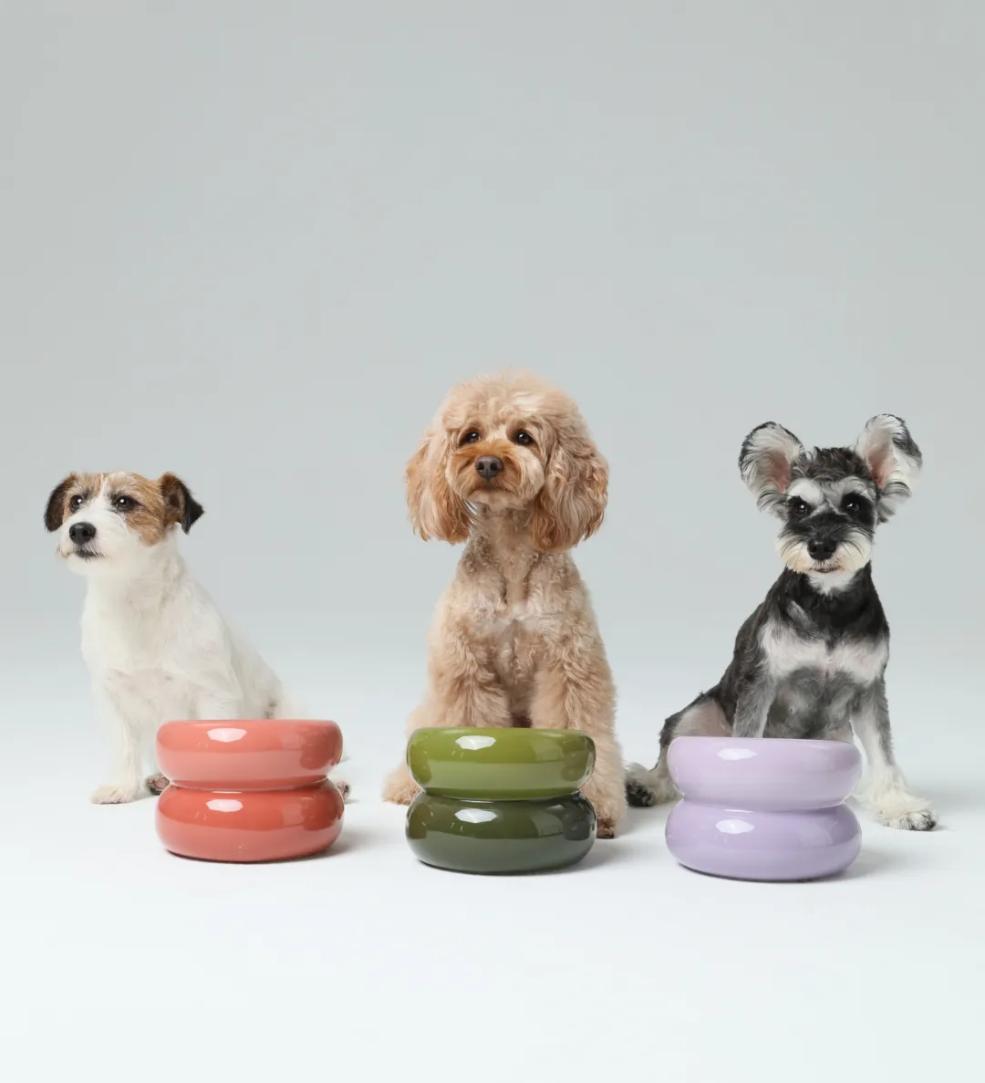Soufflé Pet Bowl - Purple