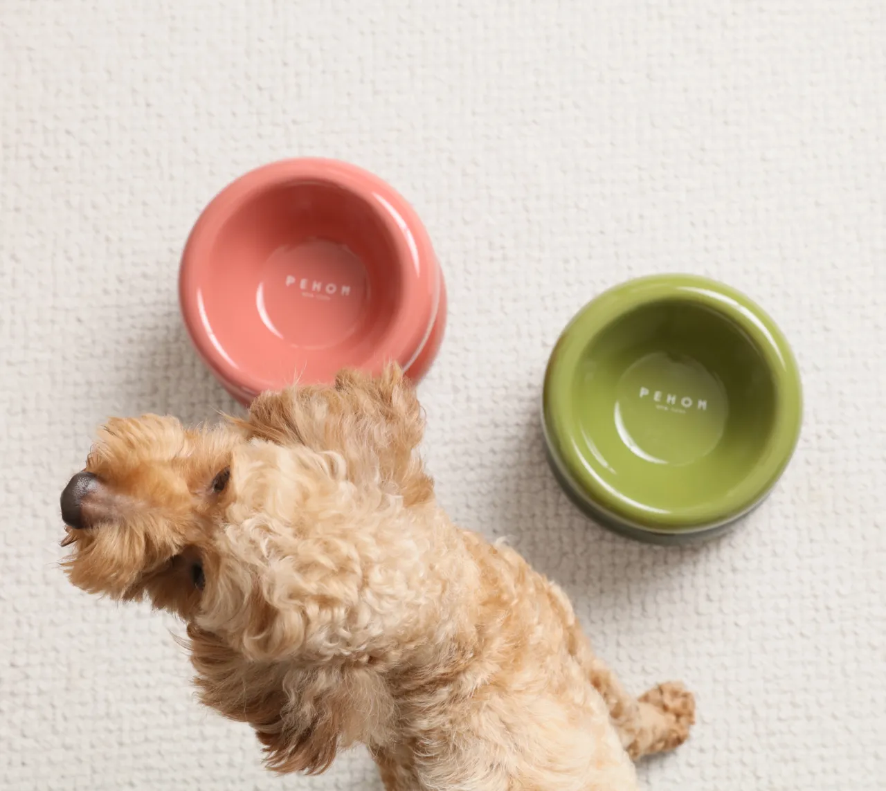 Soufflé Pet Bowl - Purple