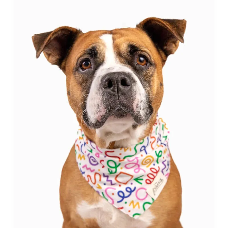 The Paws Bandana - Fun