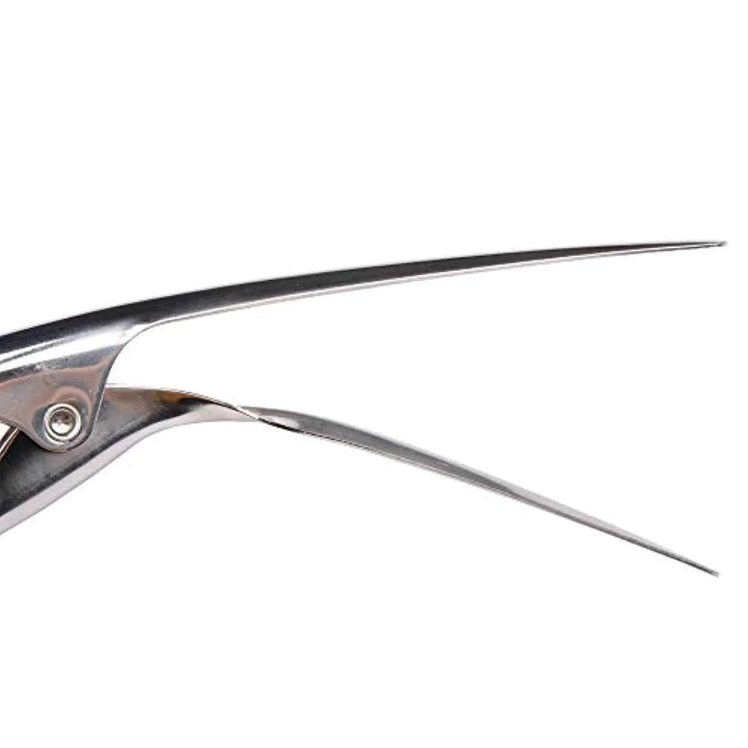 Tool Peels Shrimp in One Motion