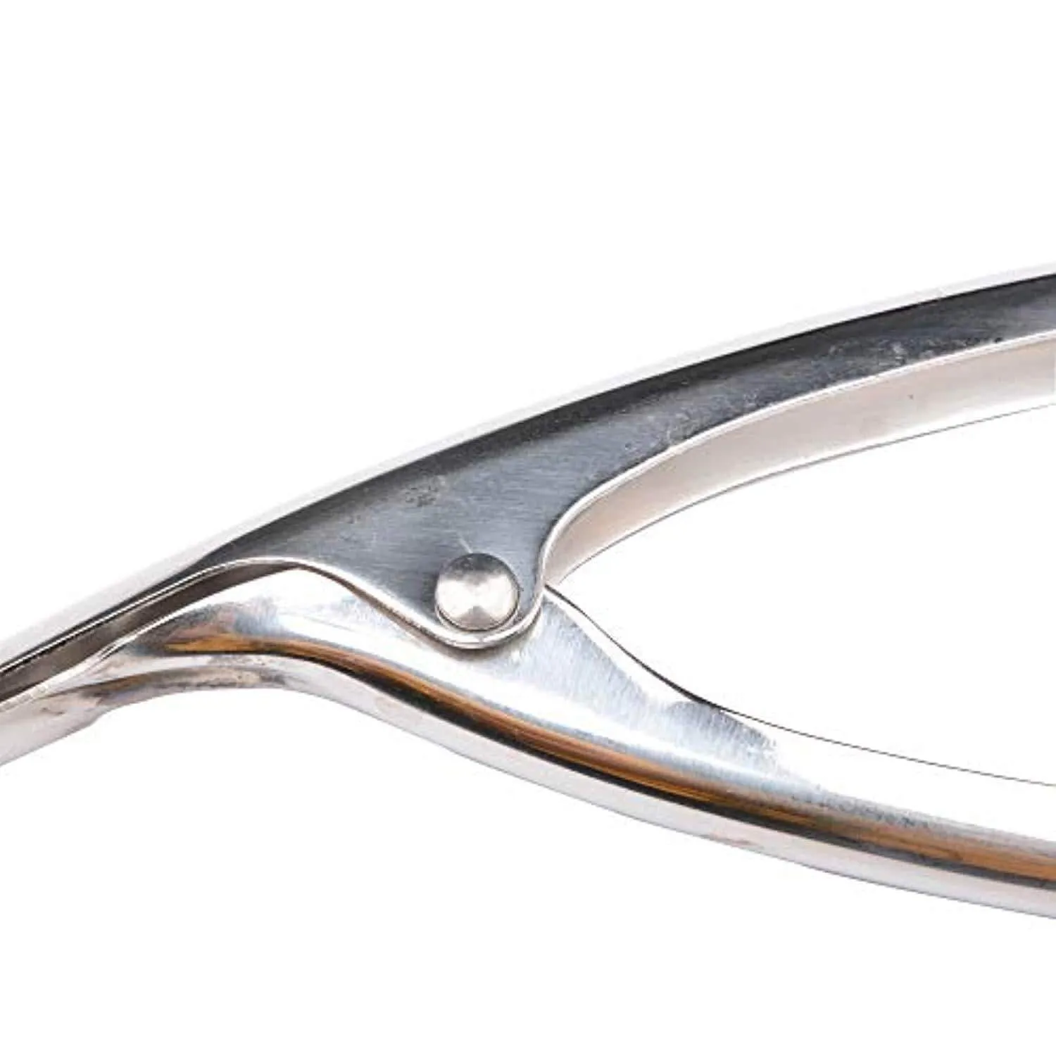 Tool Peels Shrimp in One Motion