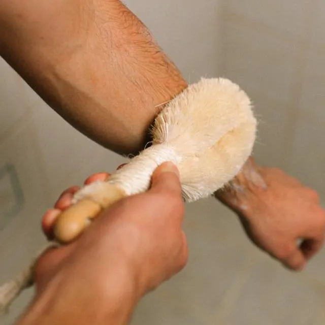 Vegan Dry Brush