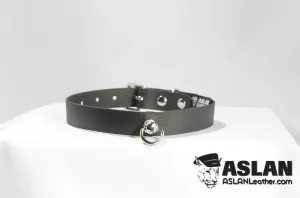 Vegan Princess Collar