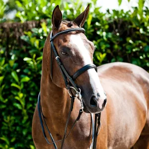 Weymouth Diamond Browband Bridle