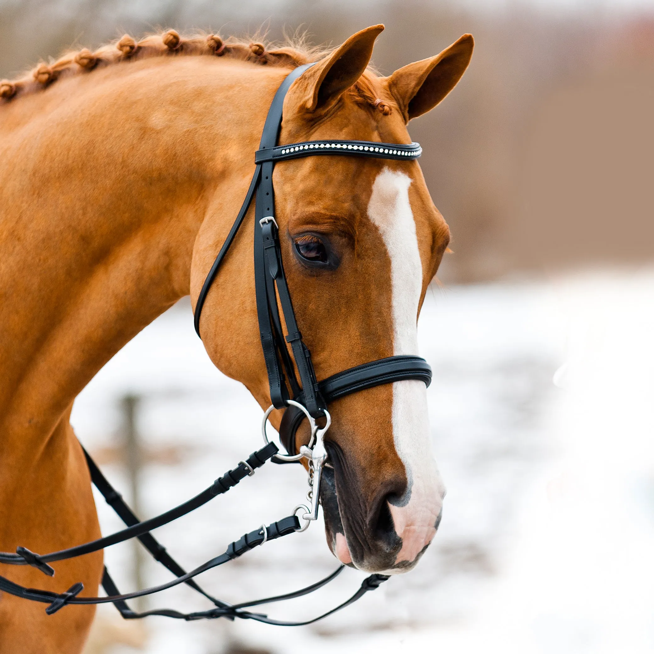 Weymouth Diamond Browband Bridle