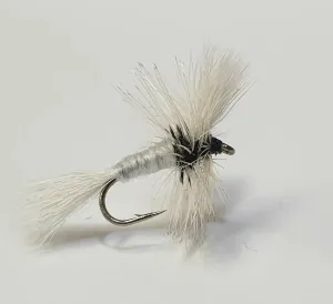 White Wulff